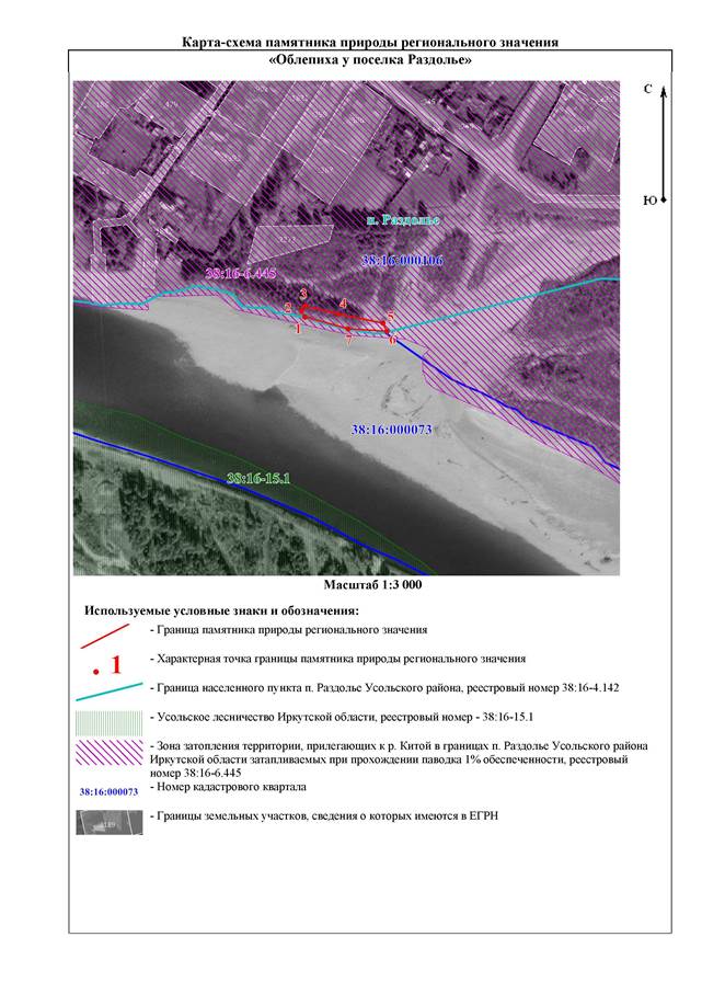 Постановление Правительства Иркутской области от 30.03.2026 N 288-пп "О памятнике природы регионального значения «Облепиха у поселка Раздолье»". Рис. 2
