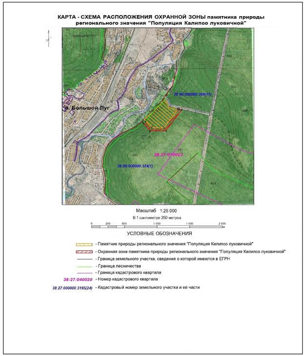 Указ Губернатора Иркутской области от 01.09.2025 N 283-уг "Об охранной зоне памятника природы регионального значения "Популяция Калипсо луковичной"